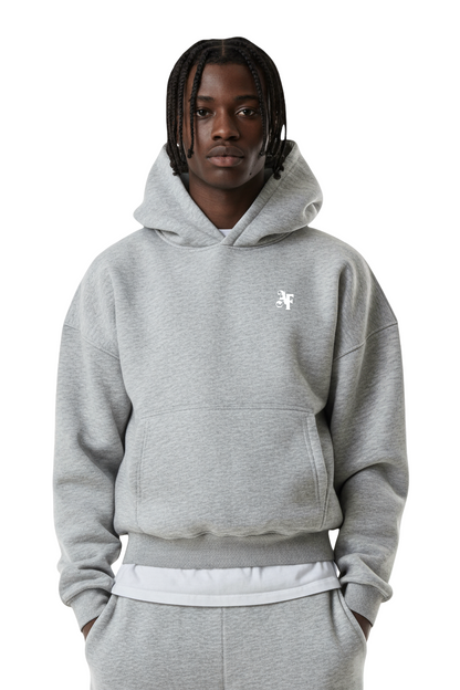 AFL GREY HOODIE